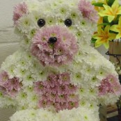 3D Teddy Bear